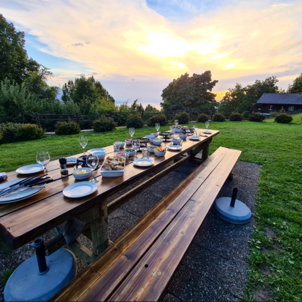 SPRING EQUINOX SWITZERLAND RETREAT (deposit £200) ONE ROOM LEFT