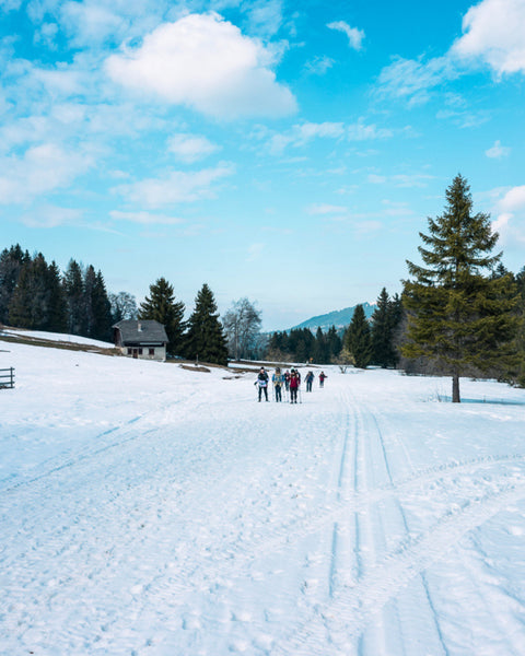 SPRING EQUINOX SWITZERLAND RETREAT