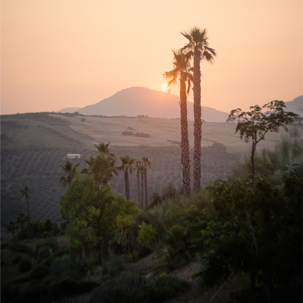 TRANSFORMATIONAL YOGA RETREAT: SPAIN 2025 (DEPOSIT ONLY)